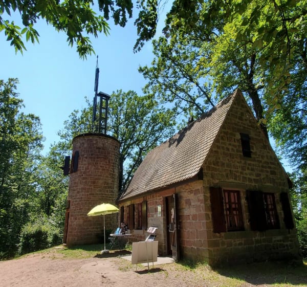 Alentours de Saverne - Saverne - 1