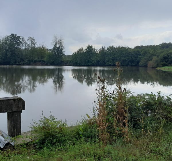 Chalamont, les 4 chemins, étangs de la Dombes - Chalamont - 1