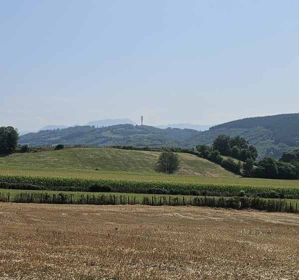 Tour de la Croix du Moine Mort, depuis la Courrerie - Oyeu - 1