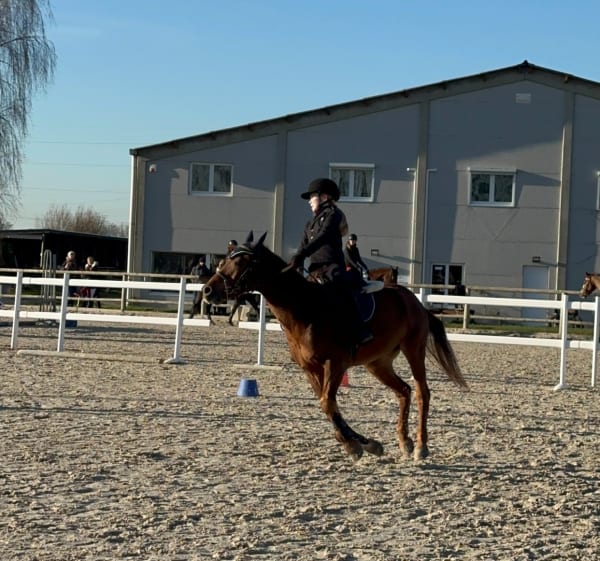 Villeneuve d’Ascq - Haras du Melantois - Villeneuve-d'Ascq - 1