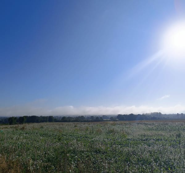 Circuit des haies du bocage depuis Neau - Neau - 1