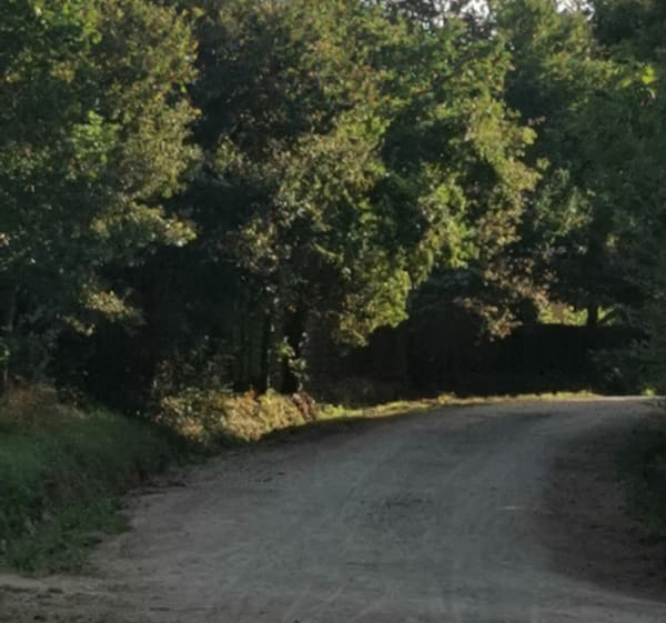 Balade entre deux rives Poiré sur Vie - Le Poiré-sur-Vie - 1
