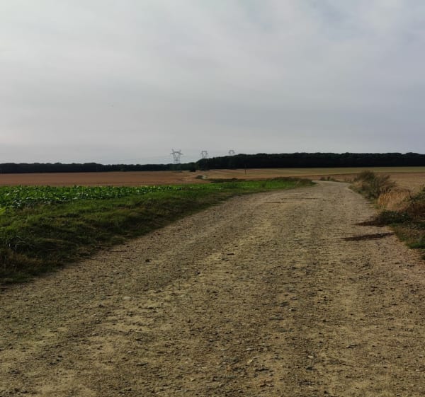 Forêt et Bord de l’Oise à Champagne - Champagne-sur-Oise - 1