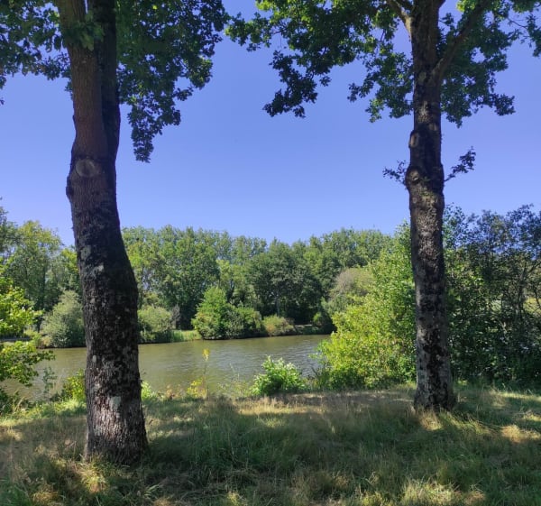 Etang de la Sillandais - Chavagne - 1