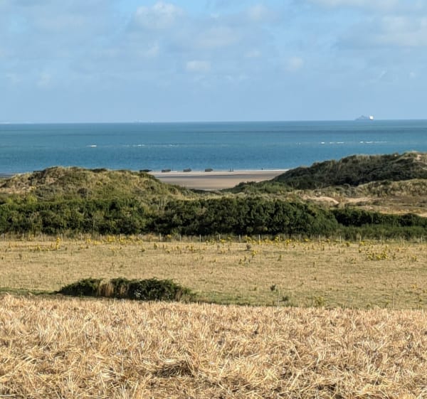 Tardingem les berliques - Tardinghen - 1