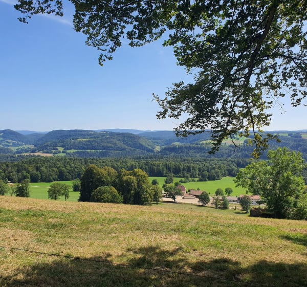 Randonnée autour de Winkel - Winkel - 1