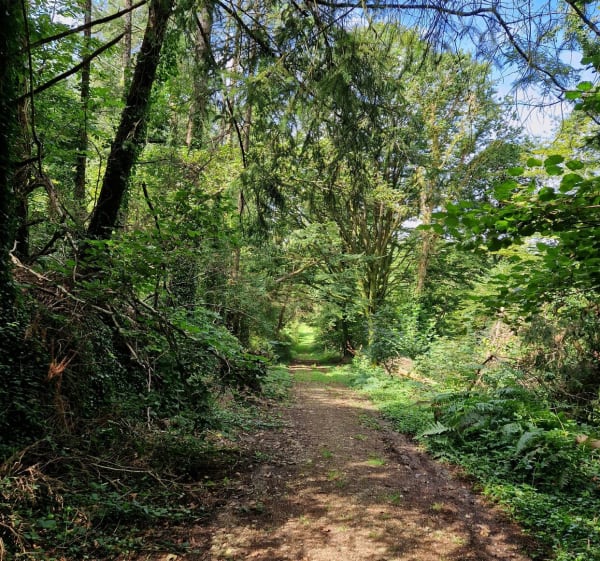 Le chemin de Lesven commune de Gourlizon - Gourlizon - 1