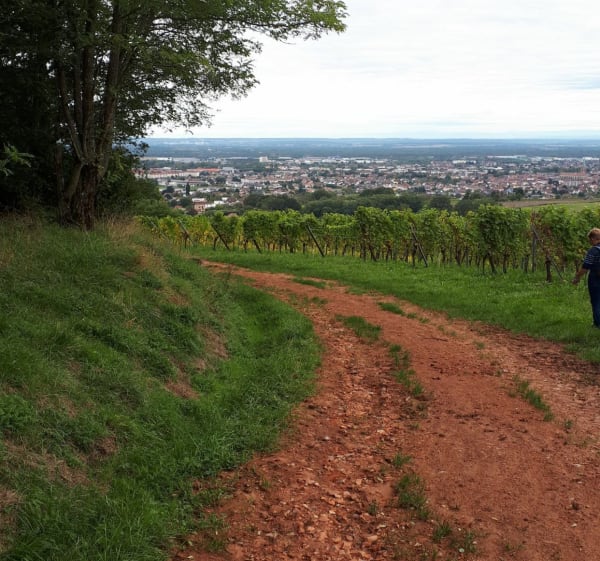 Au dessus du village de Uffoltz - Cernay - 1