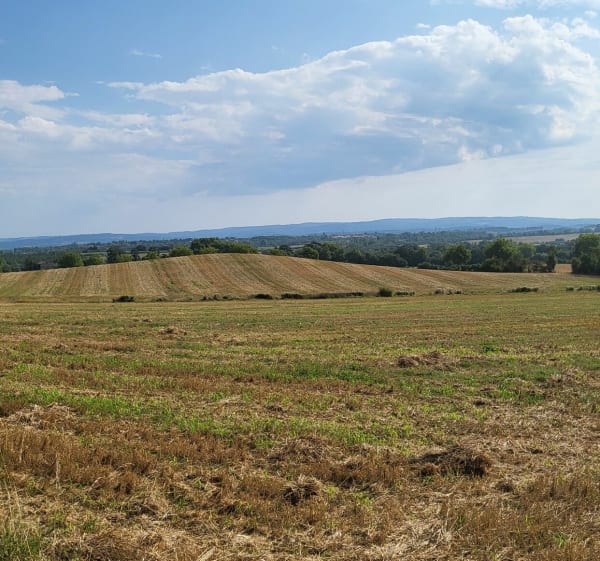 Lo camin de las Peyras - Viviers-lès-Montagnes - 1
