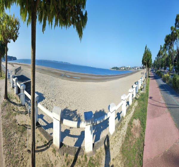 Entre champs forêt et plage - Saint-Georges-de-Didonne - 1