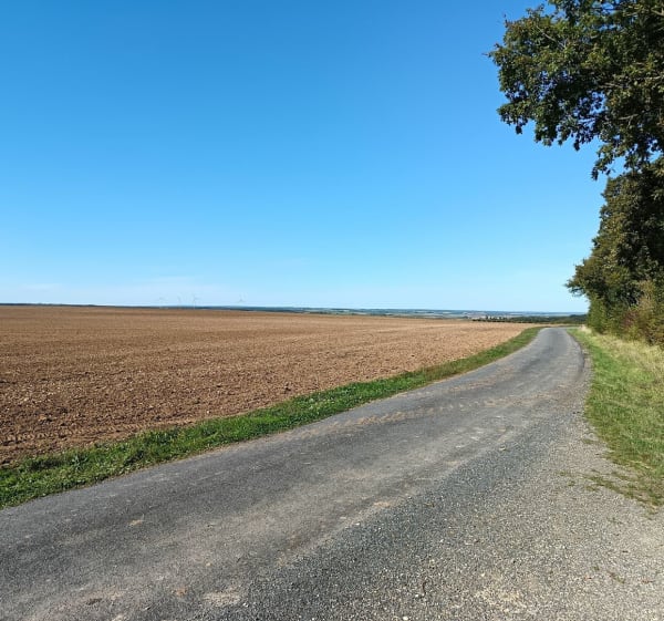 Randonnée à la campagne de Gourville - Rouillac - 1