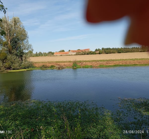 Randonnée près de la Seine depuis Guernes - Guernes - 1