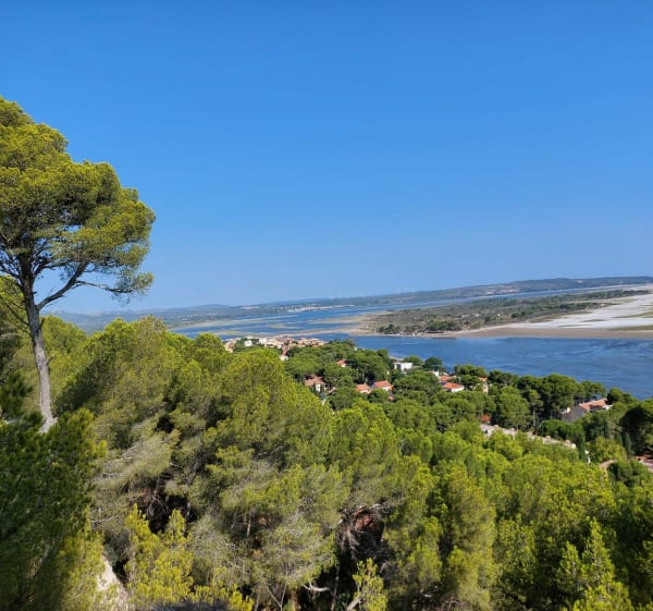 Plateau Leucate - Port-la-Nouvelle - 1