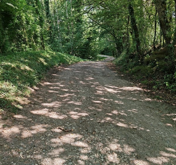 Sentier du Vuache - Jonzier-Épagny - 1