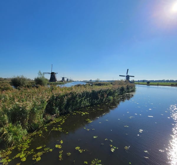 Korte wandeling om de molens te zien - Kinderdijk - 1