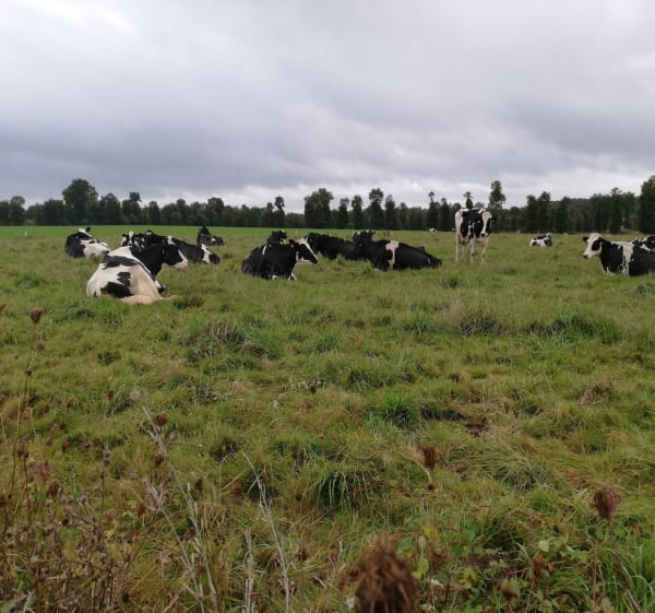 Boucle en campagne - Virginie - 1