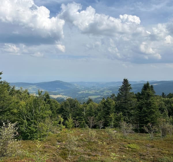 Col de la Chamboite - Chalmazel-Jeansagnière - 1