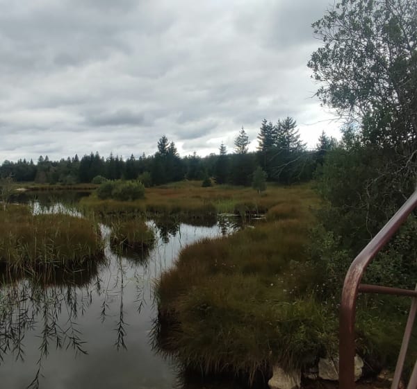 Tour des lacs à Chapelle-des-bois - Chapelle-des-Bois - 1