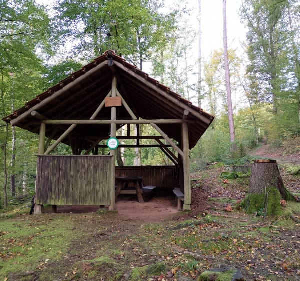 Boucle en forêt et rocher du Calice - Guntzviller - 1