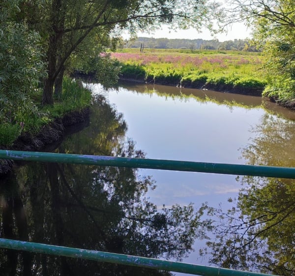 De Préguillac à VTT, bords Charente et Seugne - Préguillac - 1