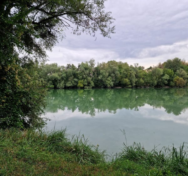 Canal Haute Seine entre Saint-Lyé et Barberey - Saint-Lyé - 1
