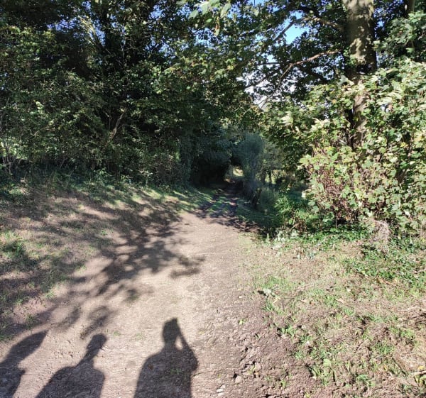 Sentier des noirs monts - Maisnil-lès-Ruitz - 1
