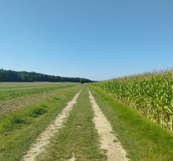 Tour des ballastières - Cloyes-les-Trois-Rivières - 1
