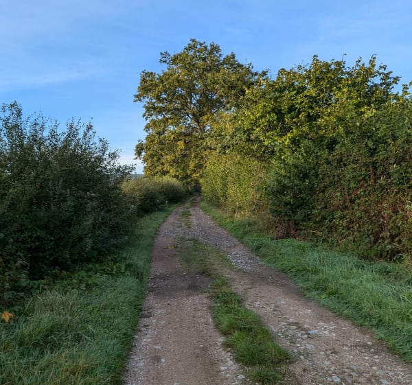 Entre Dracy-St-Loup et Saint-Denis par les hauteurs - Dracy-Saint-Loup - 1