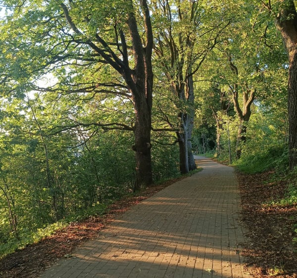 Trasa z widokiem na jezioro Bartąg - Olsztyn - 1