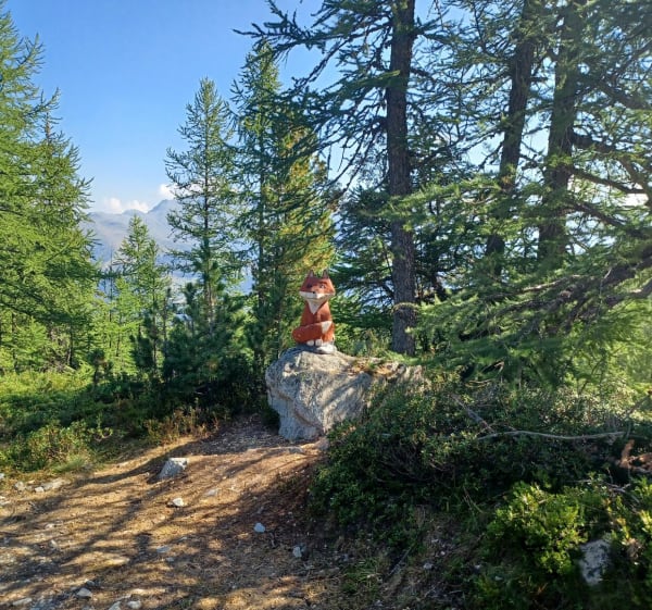 Les géants de Malgovert par le sentier des Arollins - Bourg-Saint-Maurice - 1