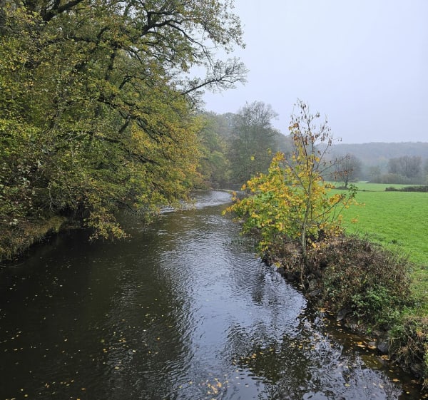 Parcours Neuve-Maison et Pont du Foe - Neuve-Maison - 1