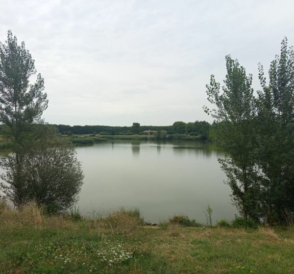 Entre campagne, Parc Rabaudy et ville Castanéenne - Castanet-Tolosan - 1