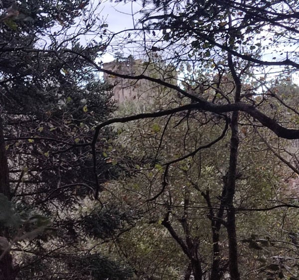 De Charmes-sur-l'Herbasse au Bois de Bard - Charmes-sur-l'Herbasse - 1