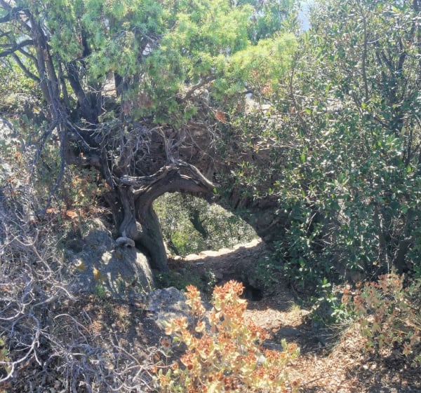 Sant Ferriol - Castell d'Ultrera depuis Sorède - Sorède - 1