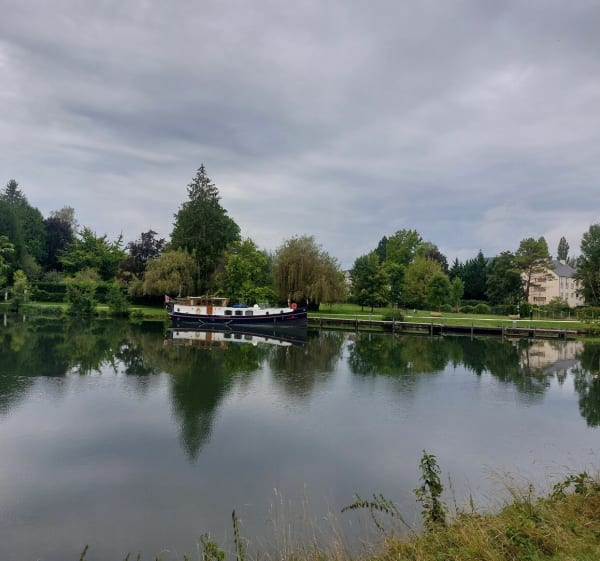 Petite balade par bois Violent - Moret-Loing-et-Orvanne - 1
