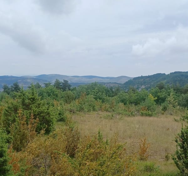 Roc de serre et des Hourtous - La Malène - 1