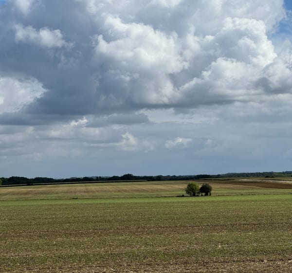 À travers Fontenay, Bailly, Noisy-le-Roi et Rennemoulin - Fontenay-le-Fleury - 1