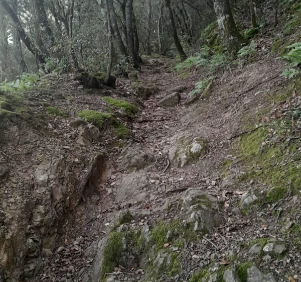 Tour et Dolmen - Maureillas-Las-Illas - 1