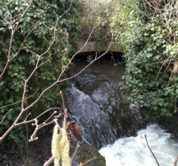 La Vallée du Sausseron - Butry-sur-Oise - 1