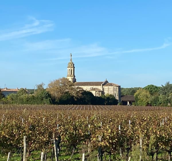 L'estuaire Garonne - Dordogne - Saint-Seurin-de-Bourg - 1