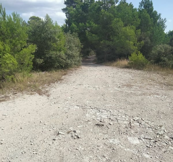 Sur les hauteurs de Saint Antoine - Le Thor - 1
