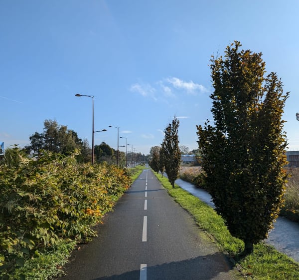 Balade entre ville et campagne - Marcq-en-Barœul - 1