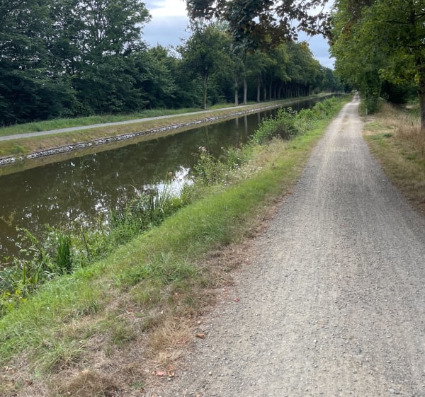 Chemin de halage depuis Montreuil-le-Gast - Montreuil-le-Gast - 1