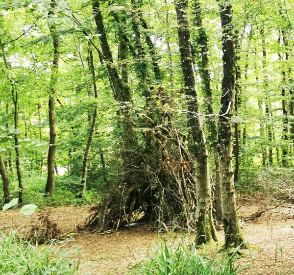 Petite randonnée familiale en forêt de Boulogne - La Capelle-lès-Boulogne - 1