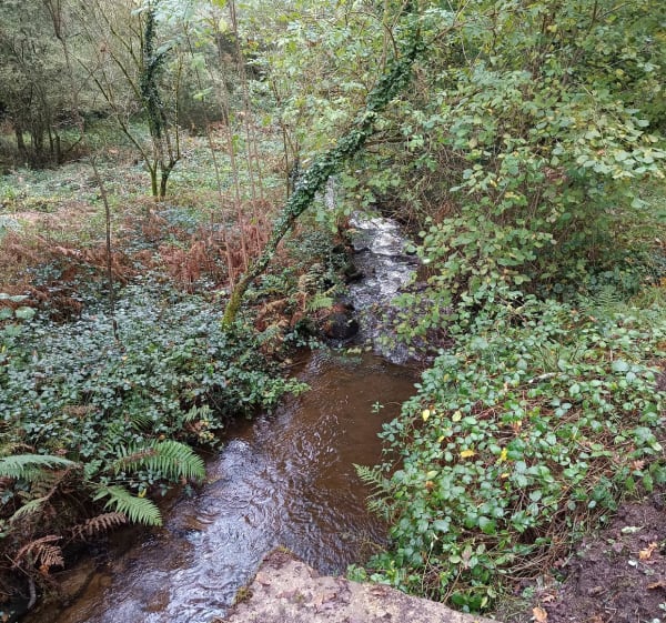 Balade bucolique, par Tréluban - Péaule - 1