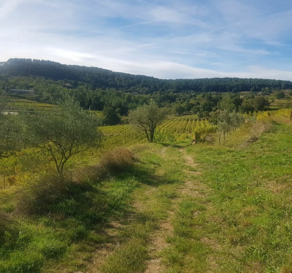 La bastide de Sanilhac - Sanilhac - 1