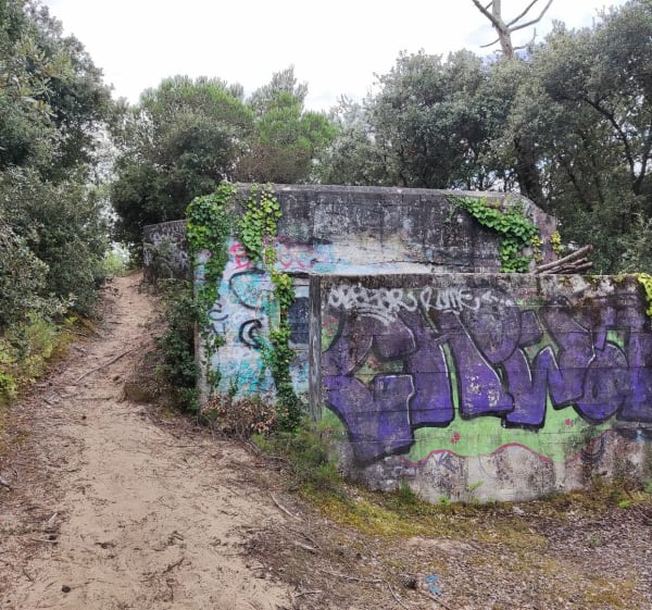 De Chaucre à Domino entre forêt et bord de mer - Saint-Georges-d'Oléron - 1