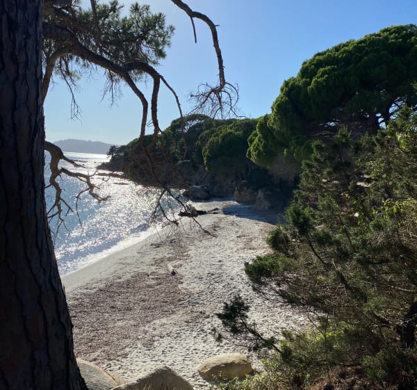 Les Cerbicales depuis Palombaggia - Porto-Vecchio - 1