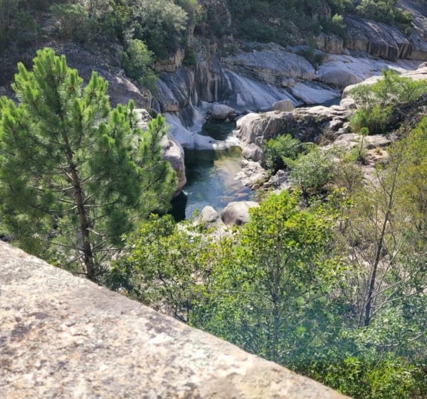 Breche de Carciara - Zonza - 1