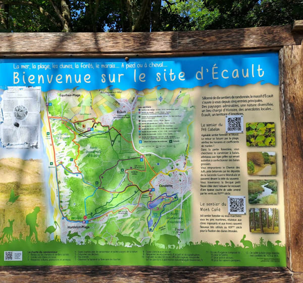 Sentier du Pré Catelan, Ecault - Neufchâtel-Hardelot - 1